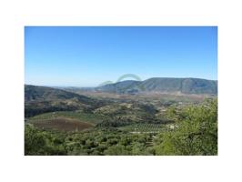 Casa con terreno en venta en El Gastor photo 0