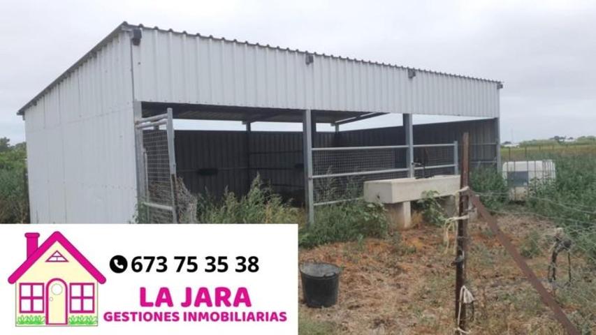 Terreno en venta en Chipiona, Las Manchuelas, 11550 photo 0