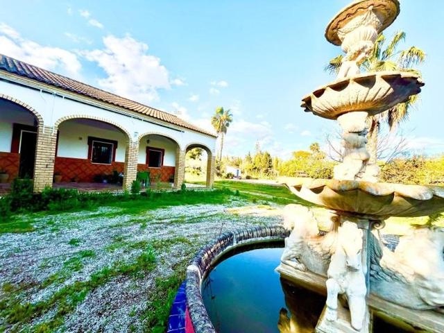 Casa con terreno en venta en Bollullos de la Mitación, Andalucia photo 0