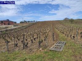 Terreno en venta en Camponaraya, Camponaraya photo 0