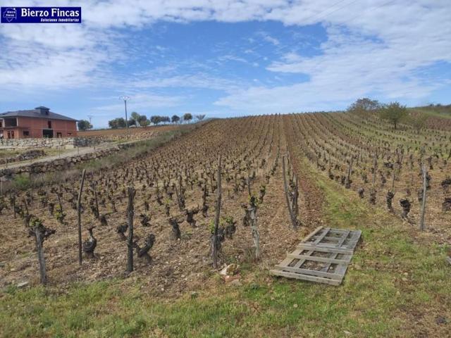 Terreno en venta en Camponaraya, Camponaraya photo 0