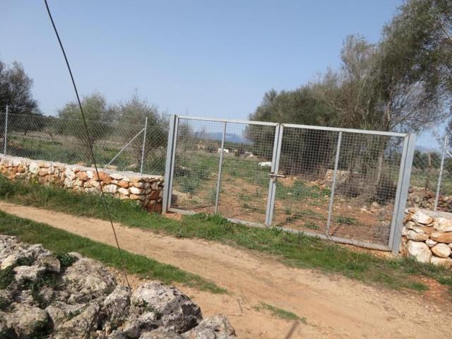 Terreno en venta en Sineu, Llubi photo 0