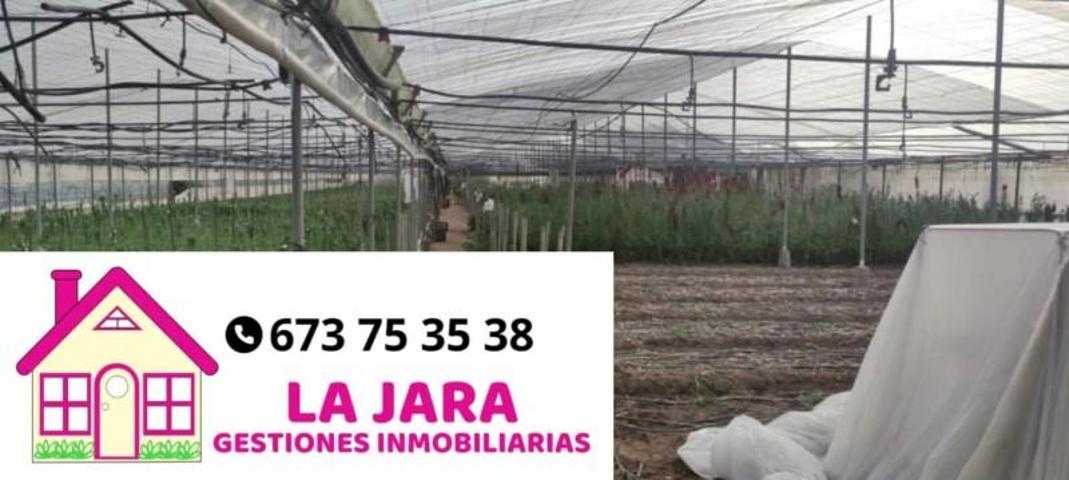 Terreno en venta en Chipiona, Avenida de Jerez, 11550 photo 0