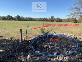 Chalet en venta en Candeleda photo 0