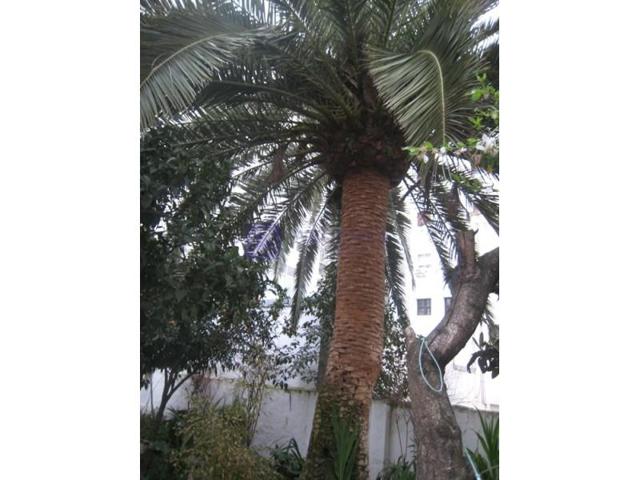 Piso en venta en Cáceres photo 0