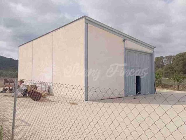 Terreno en venta en Yecla photo 0