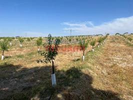 Chalet en venta en Belvis de Monroy photo 0