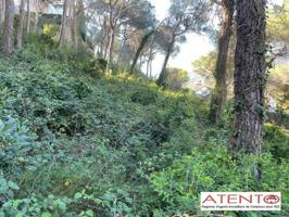 Terreno en venta en Cabrils, Can Tolrà photo 0