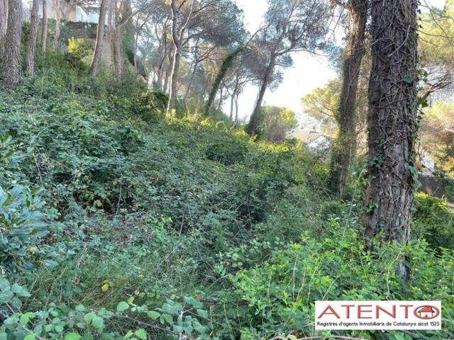 Terreno en venta en Cabrils, Can Tolrà photo 0