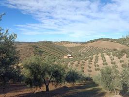 Casa con terreno en venta en Villanueva de San Juan, Villanueva De San Juan photo 0