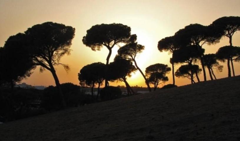 Chalet en venta en Alcalá de Guadaira, photo 0