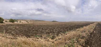 Terreno en venta en Vejer de la Frontera, El palmar photo 0