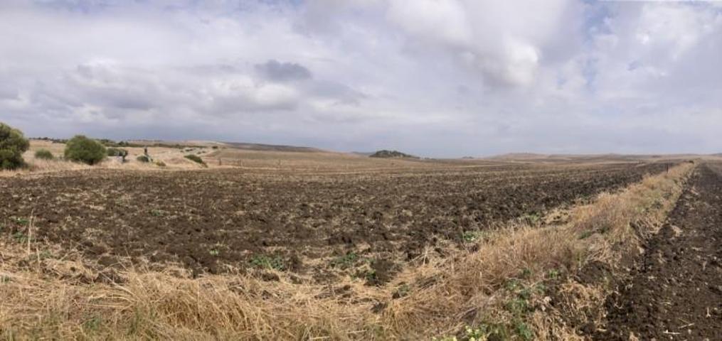 Terreno en venta en Vejer de la Frontera, El palmar photo 0