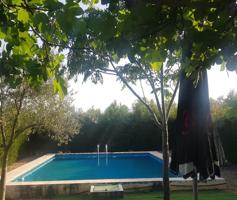 Casa con terreno en venta en Moratalla photo 0