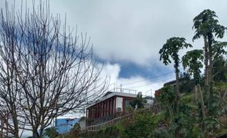 Casa con terreno en venta en El tanque, Erjos del tanque tenerife photo 0