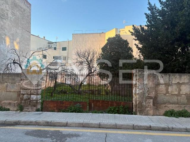 Terreno en venta en Inca photo 0