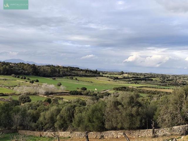 Terreno en venta en Ariany, Ariany photo 0