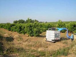 Chalet en venta en Palma del Río, Provincia de Córdoba photo 0