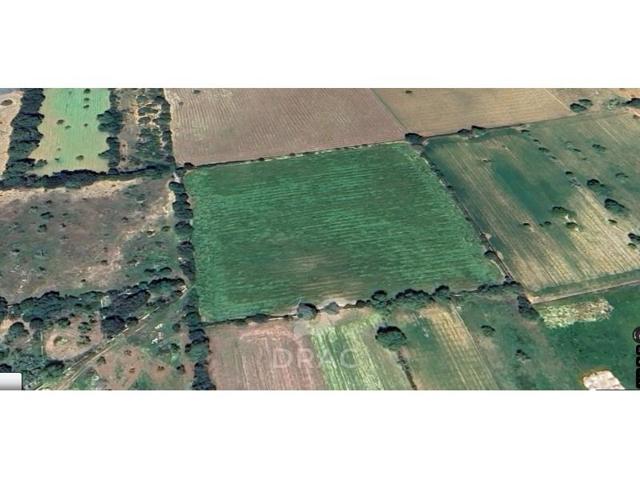 Terreno en venta en Felanitx photo 0