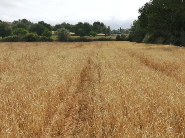 Terreno en venta en Felanitx, Felanitx photo 0