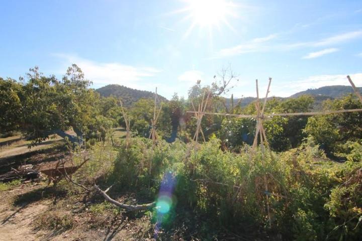 Terreno en venta en Coín, Valle de Guadalhorce photo 0