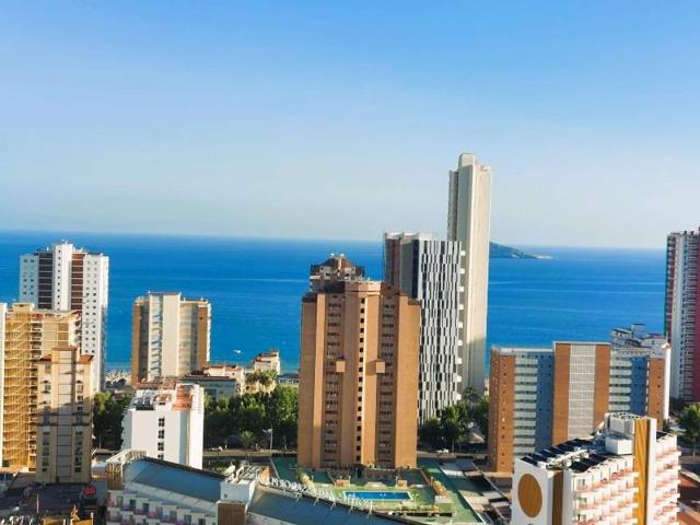 Apartamento en venta en Benidorm, Levante photo 0