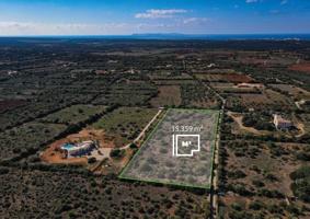 Terreno en venta en Santanyí, Ses salines photo 0
