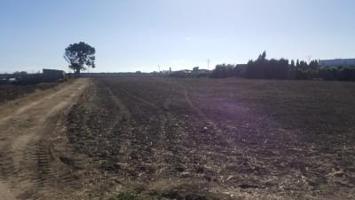 Terreno en venta en Barbate, EL PALMAR photo 0