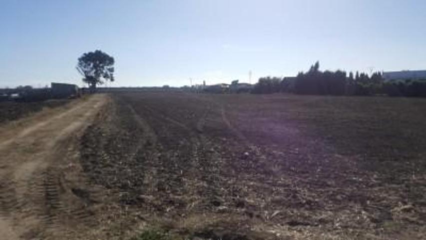 Terreno en venta en Barbate, EL PALMAR photo 0