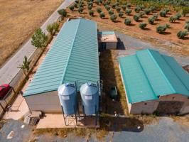 Terreno en venta en Cogollos de Guadix, COGOLLOS photo 0