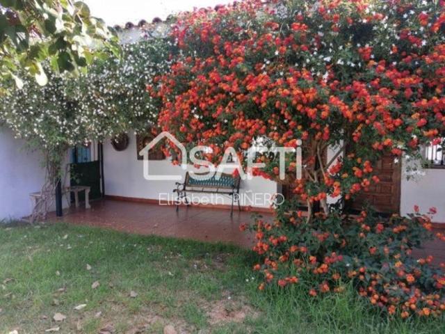 Local comercial en venta en Montijo photo 0