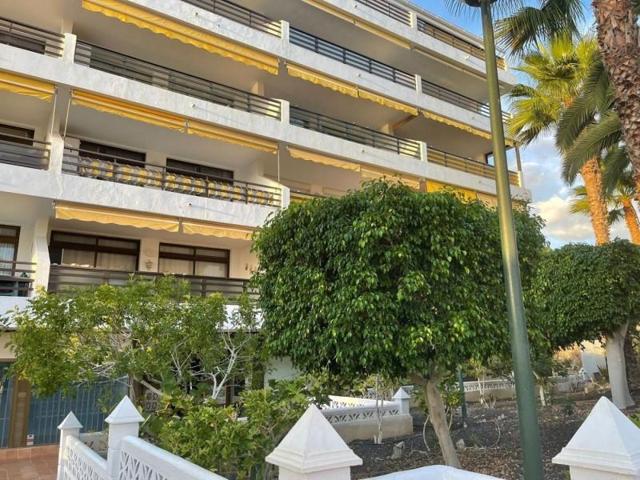 Planta baja en venta en Guía de Isora, El Varadero photo 0