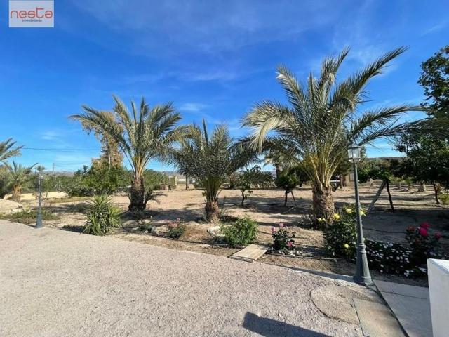 Casa en venta en Lorca, Campillo photo 0