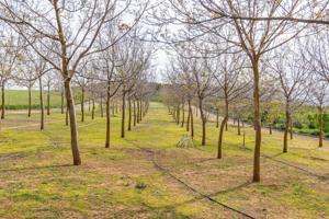 Terreno en venta en Padul, Padul photo 0