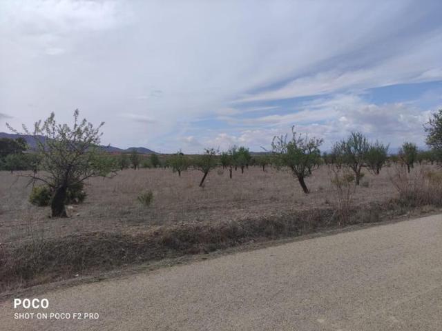 Terreno en venta en Lorca, Aguaderas photo 0