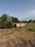 Terreno en venta en Sineu, Sineu photo 0