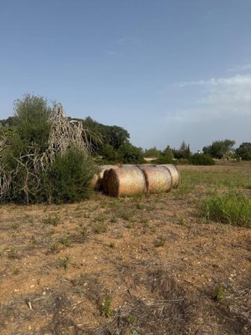 Terreno en venta en Sineu, Sineu photo 0