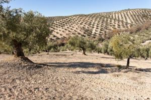 Terreno en venta en Campotéjar, Campotejar photo 0