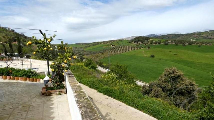 Casa con terreno en venta en Casabermeja, Casabermeja photo 0