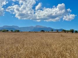 Terreno en venta en Inca, Afueras photo 0