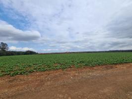 Chalet en venta en Llubí photo 0