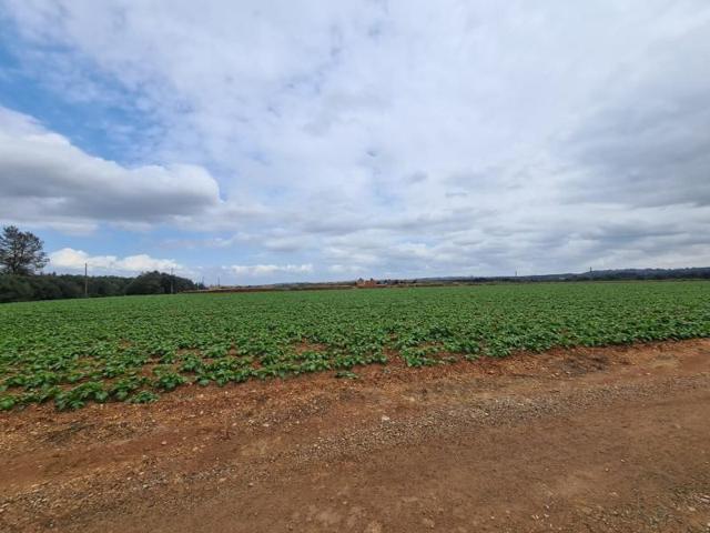 Chalet en venta en Llubí photo 0