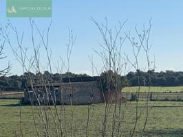 Terreno en venta en Inca, Afueras photo 0