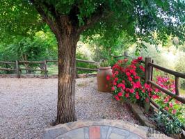 Casa con terreno en venta en Las Navas de la Concepcion, Rivera de Ciudadeja, Sierra Norte photo 0
