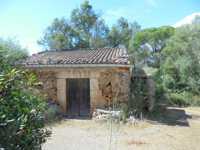 Terreno en venta en Sencelles, Sencelles photo 0