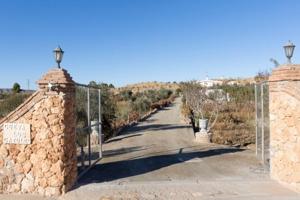 Casa en venta en Benalúa, BANALUA photo 0