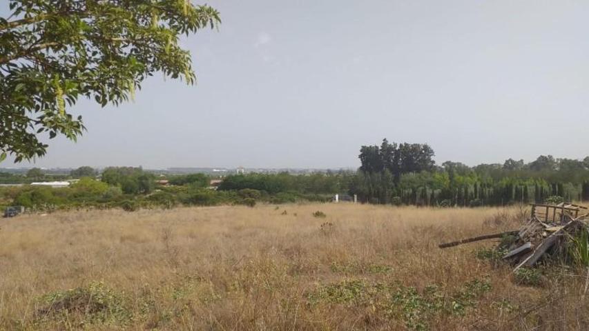 Terreno en venta en Jerez de la Frontera, Pedanias photo 0