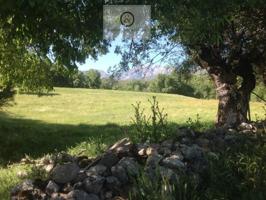 Chalet en venta en Candeleda photo 0