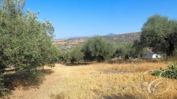 Casa con terreno en venta en Alcaucín, Alcaucin photo 0