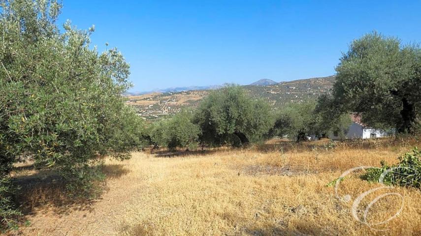 Casa con terreno en venta en Alcaucín, Alcaucin photo 0